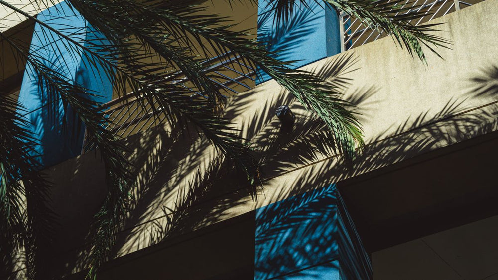 Passing light, shifting shadows — a study of everyday time.