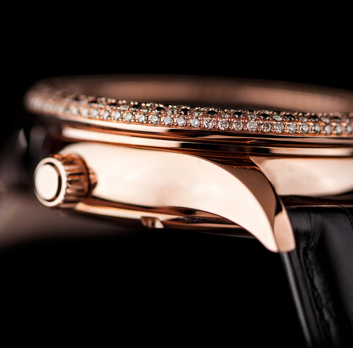Equestrian Series